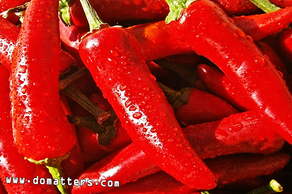 Spicy-culture-spicy-economy-popular-in-China-How-to-stand-out-in-2020-1