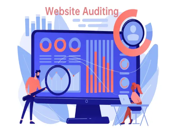 website auditing