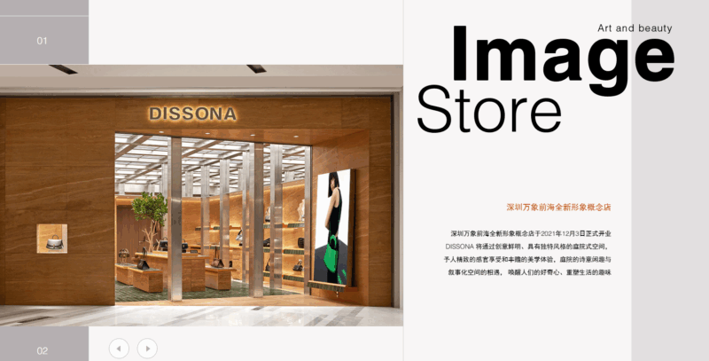 Shenzhen Dissona Leather Goods Co., Ltd.